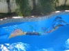 High Build Epoxy Mural