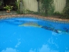 High Build Epoxy Mural