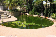 A Pool to Pond Conversion