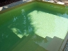 Chamois colour