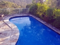 Homebush Blue