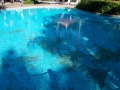Daydream Island Resort with pool showing worn and faded coating.