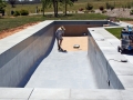 Squirrel applying the first coat