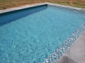 New concrete pool finished with  Squirrel