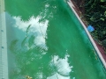 Bondi - Mid Blue pool (BEFORE)