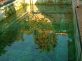 Pool in Baulkham Hill