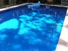 Homebush Blue - pacific light and shade