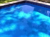 Homebush Blue