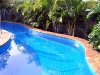 Homebush Bluey