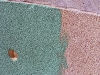 Pebblecrete pool and Wave Green