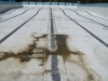 Picton Olympic Pool  original condition