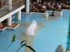 Sheraton  Hotel and Resort