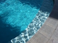 Pool paint Squirrel