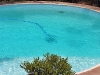 White painted pool