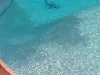 Swimming pool  in White