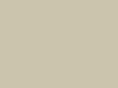 LATTE DARK BEIGE