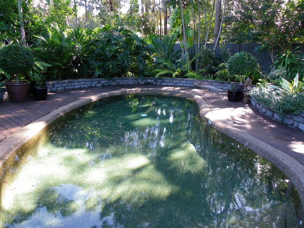 repaint swimming pool